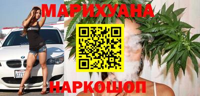 крисы Камышлов