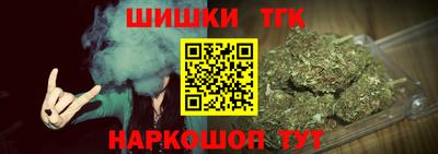 крисы Камышлов