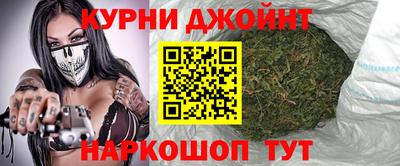 крисы Камышлов