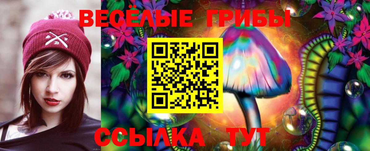 Псилоцибиновые грибы мицелий Красноуфимск